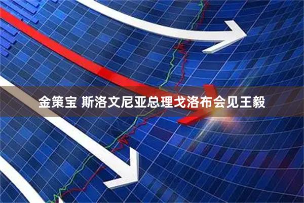 金策宝 斯洛文尼亚总理戈洛布会见王毅
