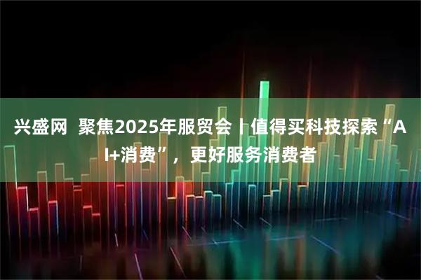 兴盛网  聚焦2025年服贸会丨值得买科技探索“AI+消费”，更好服务消费者