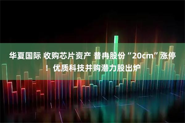 华夏国际 收购芯片资产 普冉股份“20cm”涨停！优质科技并购潜力股出炉