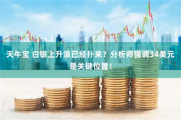 天牛宝 白银上升浪已经扑来？分析师强调34美元是关键位置！