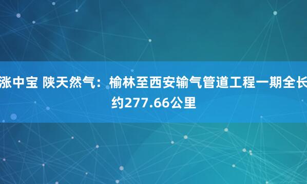 涨中宝 陕天然气：榆林至西安输气管道工程一期全长约277.66公里