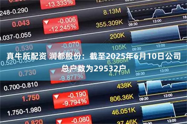 真牛所配资 润都股份：截至2025年6月10日公司总户数为29532户