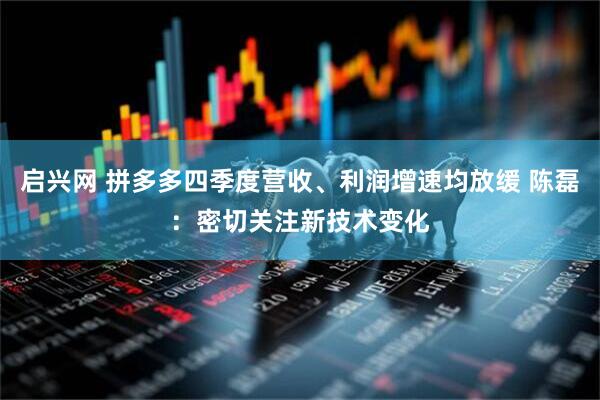 启兴网 拼多多四季度营收、利润增速均放缓 陈磊：密切关注新技术变化