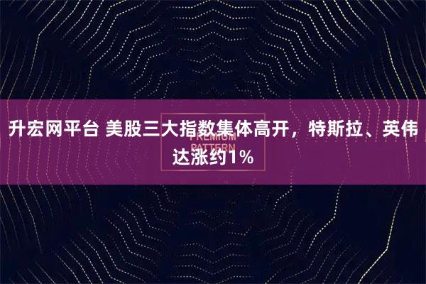 升宏网平台 美股三大指数集体高开，特斯拉、英伟达涨约1%