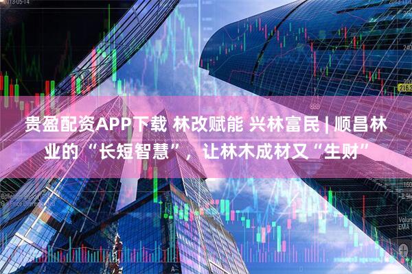 贵盈配资APP下载 林改赋能 兴林富民 | 顺昌林业的 “长短智慧”,让林木成材又“生财”