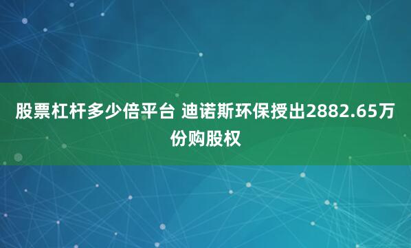 股票杠杆多少倍平台 迪诺斯环保授出2882.65万份购股权