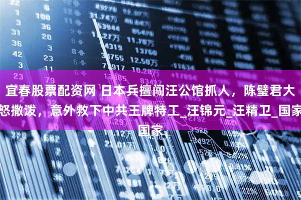 宜春股票配资网 日本兵擅闯汪公馆抓人，陈璧君大怒撒泼，意外救下中共王牌特工_汪锦元_汪精卫_国家