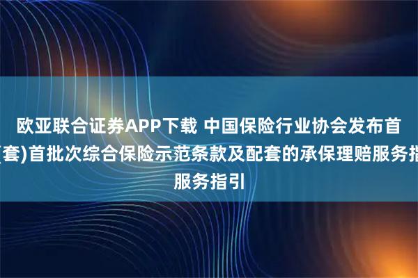欧亚联合证券APP下载 中国保险行业协会发布首台(套)首批次综合保险示范条款及配套的承保理赔服务指引